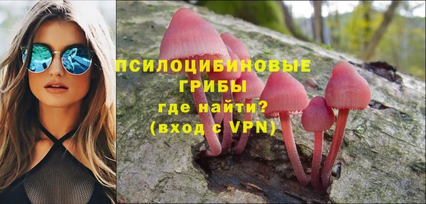 ГАЛЛЮЦИНОГЕННЫЕ ГРИБЫ Беломорск