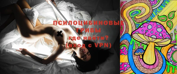 ГАЛЛЮЦИНОГЕННЫЕ ГРИБЫ Беломорск
