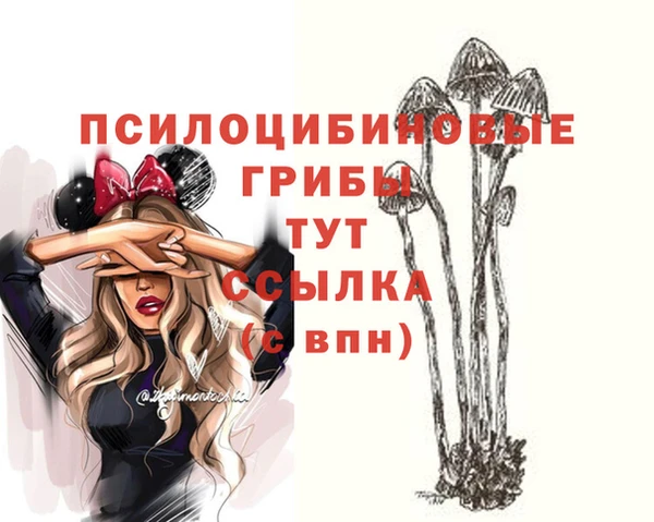 ГАЛЛЮЦИНОГЕННЫЕ ГРИБЫ Беломорск