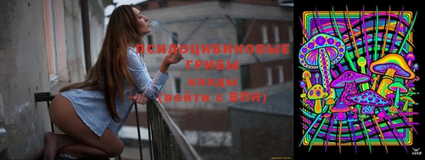 ГАЛЛЮЦИНОГЕННЫЕ ГРИБЫ Беломорск