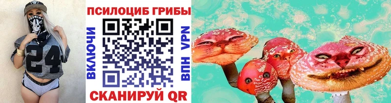 где купить наркоту  Елабуга  Псилоцибиновые грибы MAGIC MUSHROOMS 